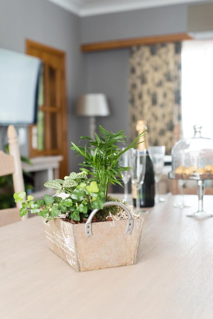 Lovely Guesthouse Lier Lint Zewnętrze zdjęcie